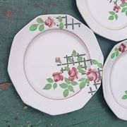 Iron earth dessert plates