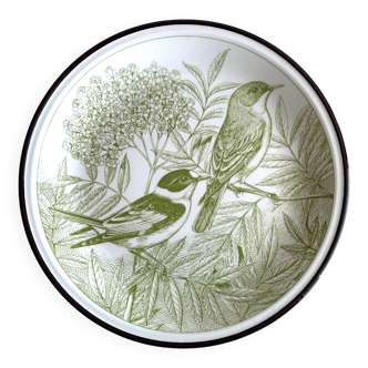 Green bird plate.
