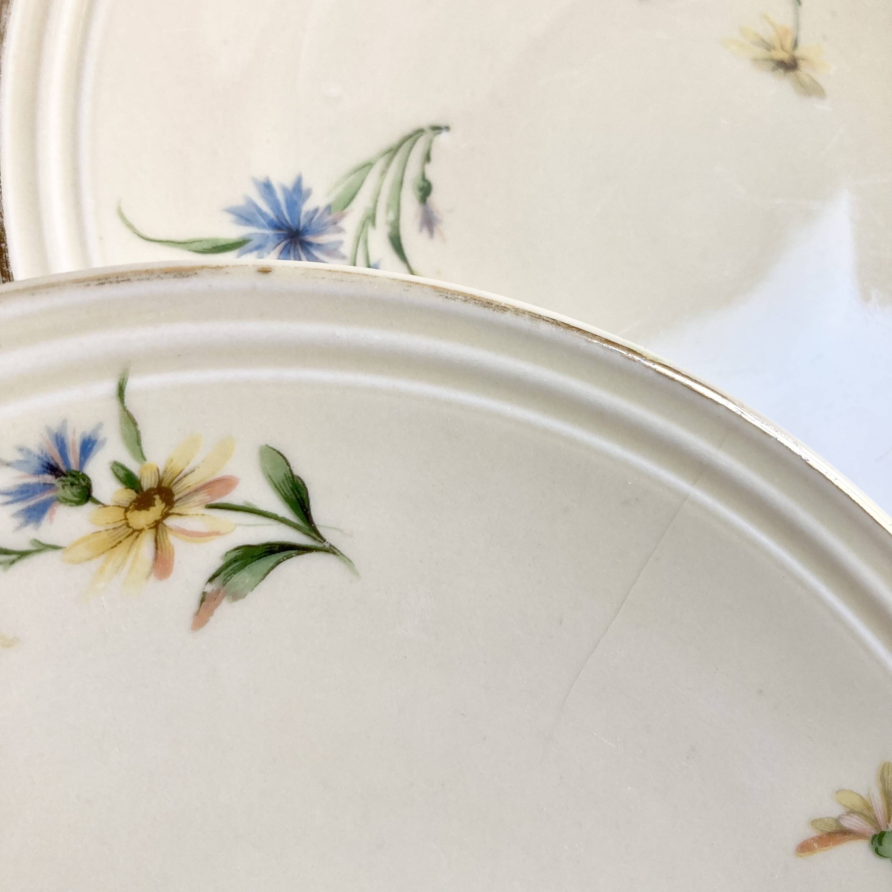 6 Limoges porcelain dessert plates 1915