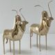 Two stylized zebu with long vintage brass horns