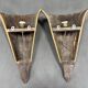 Antique Wood & Brass Wall Lights, France