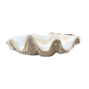 vide-poche coquillage