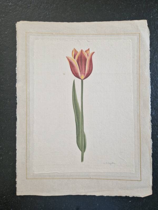 La Roche Laffitte (Born in 1943) - Watercolour drawing on silk - Tulip