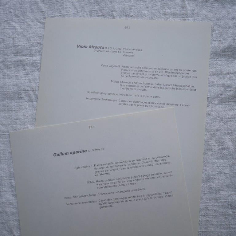 Set of 2 botanical boards Geigy