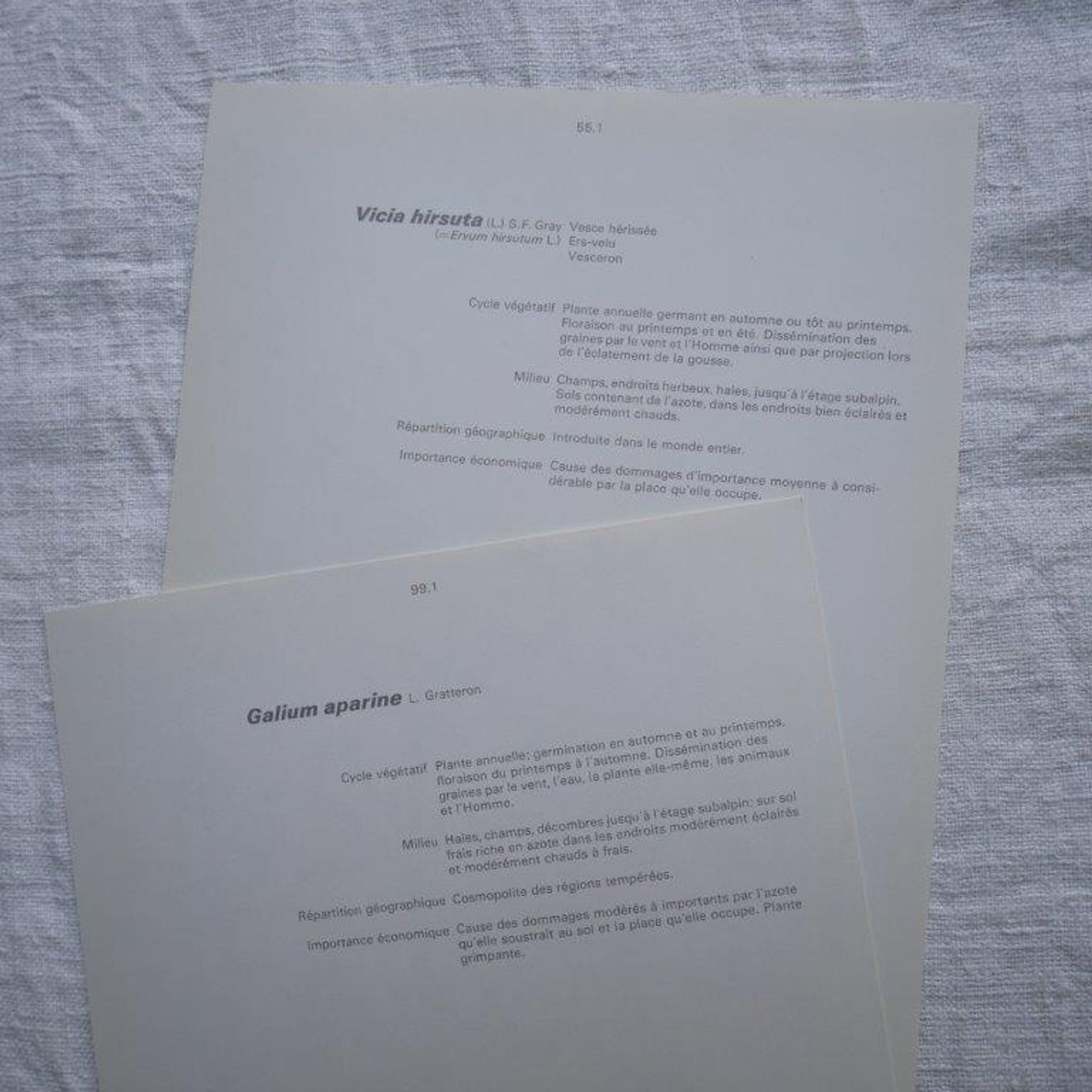 Set of 2 botanical boards Geigy