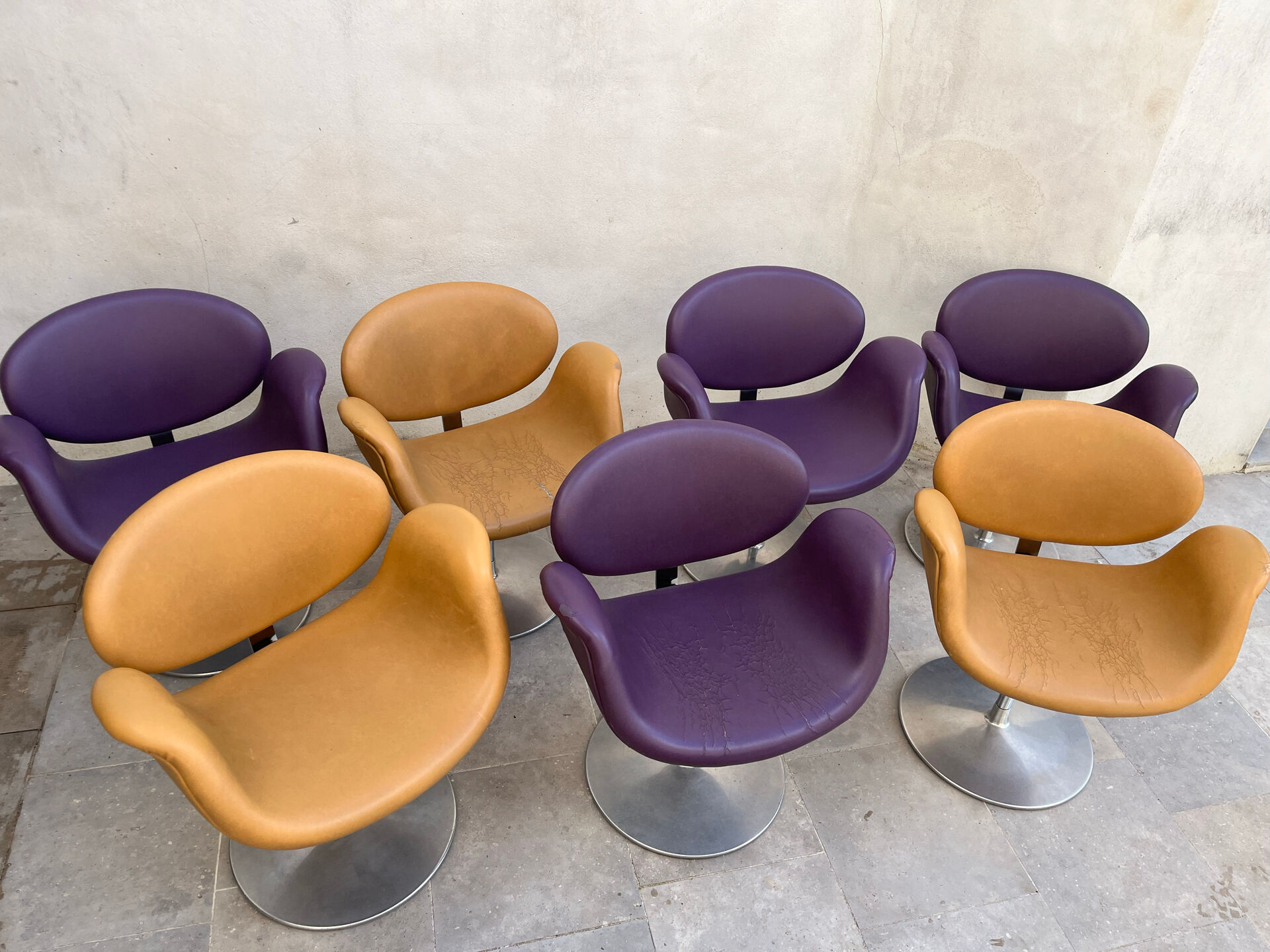 7 Tulip Chairs Paulin