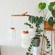 Teak hanging lamp with three lamps, Mid Century chandelier made of glass and teak