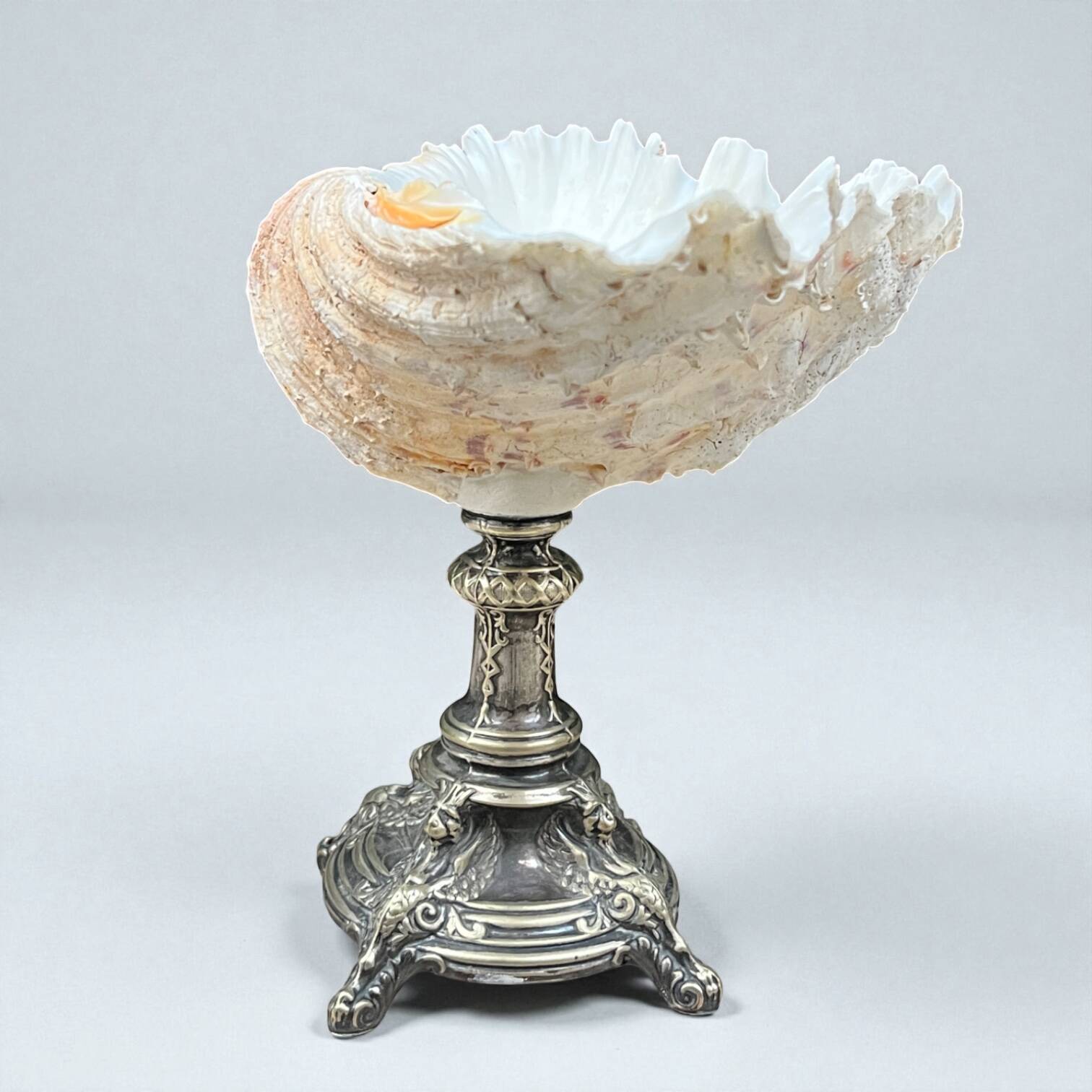 XXL large giant clam shell (Tridacne) on a silver-plated metal base, late 19th century