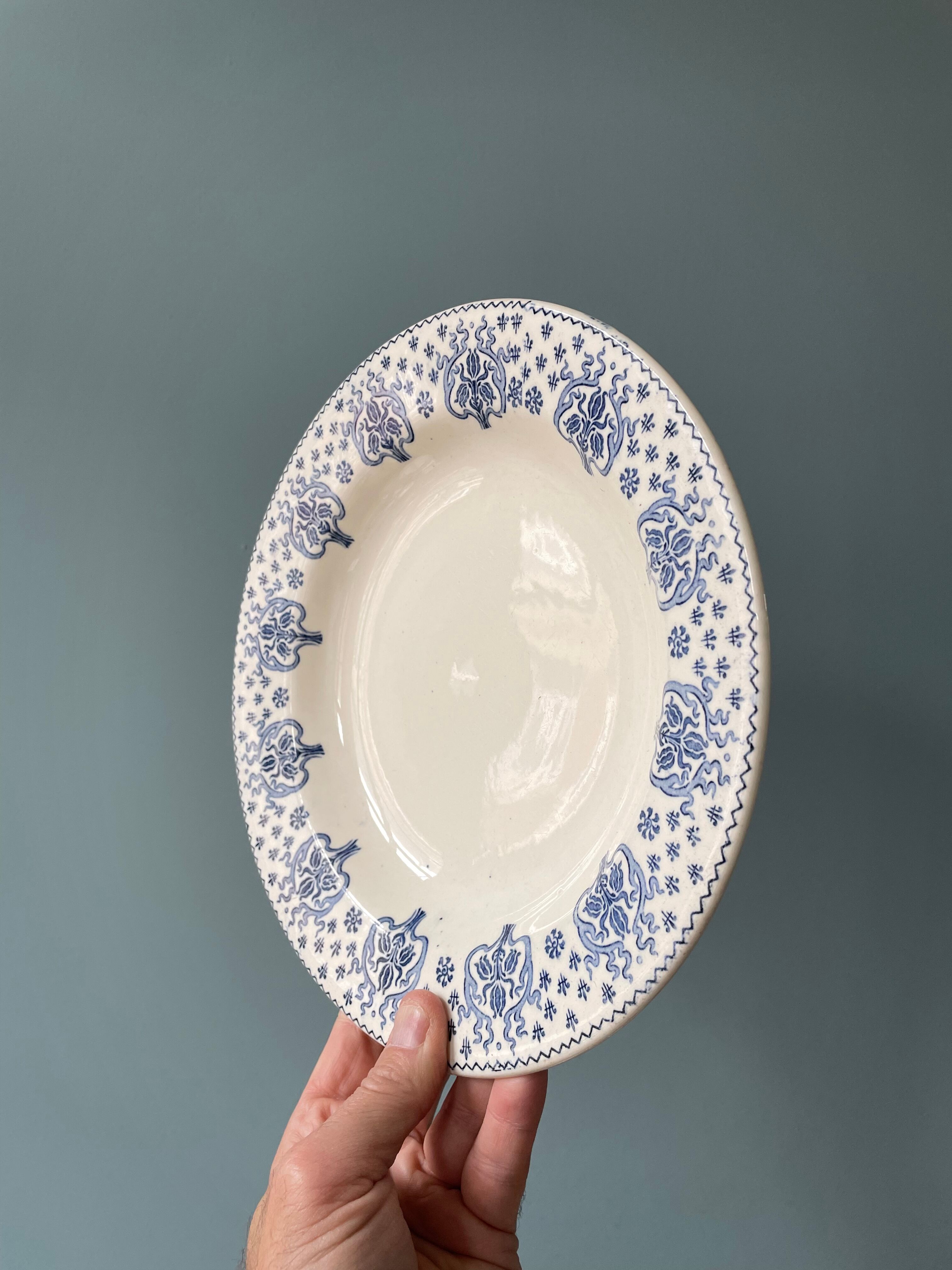 Set of 5 hollow plates Terre de Fer R&A Salins, model Palmes