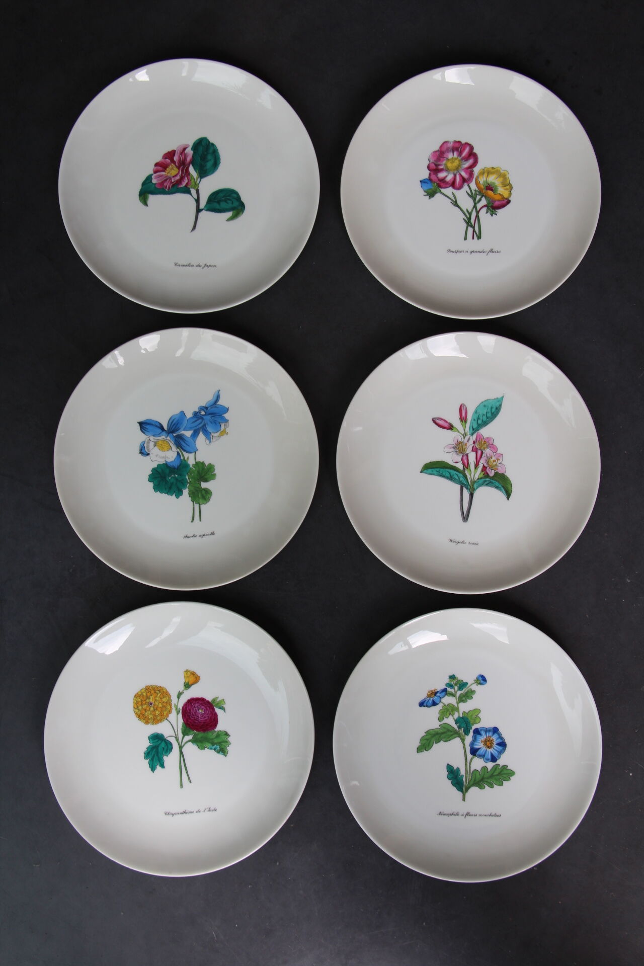 6 NBD Limoges dessert plates illuminated by hand