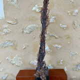 Large ancient natural gorgon mounted on a base.