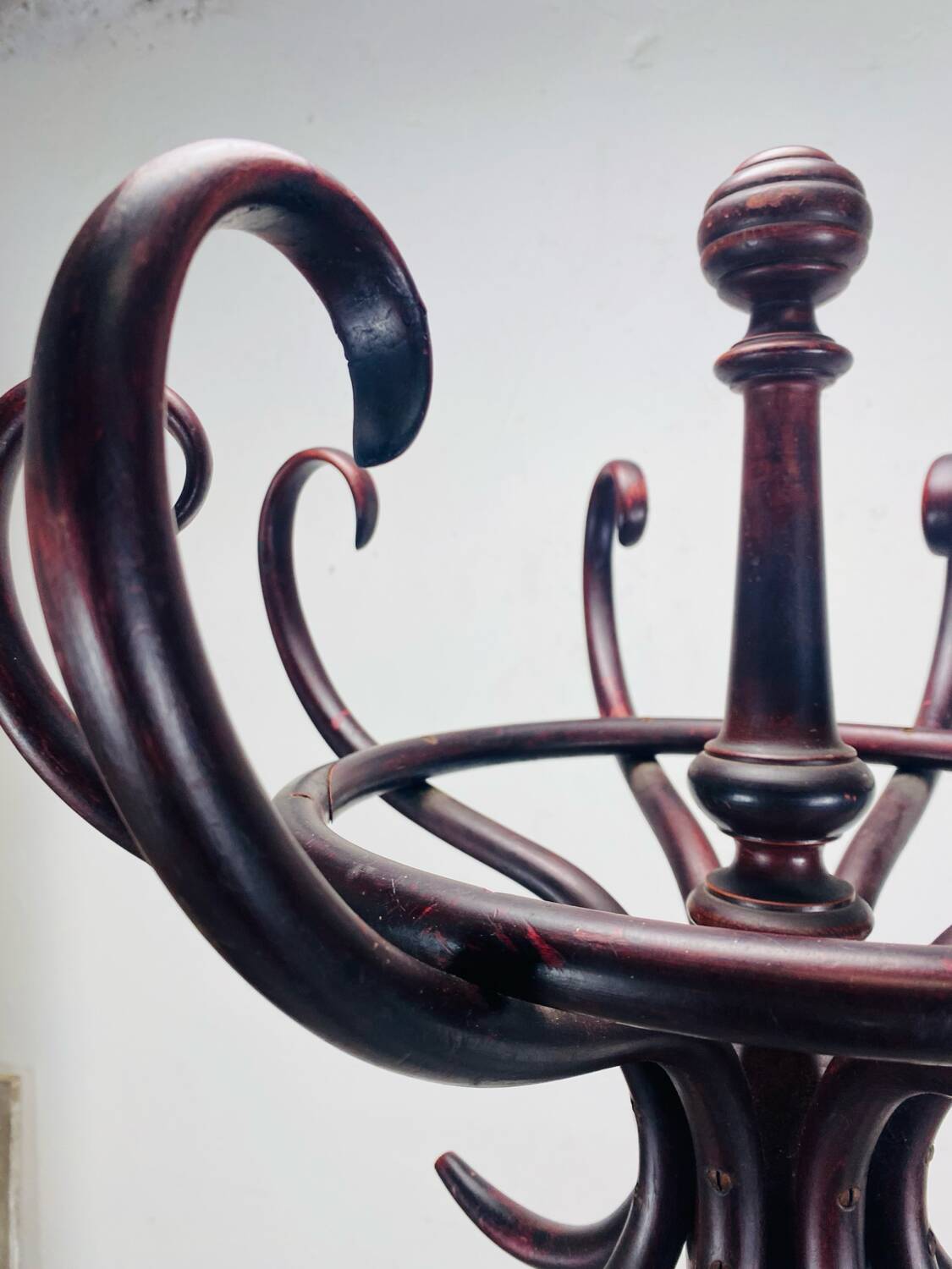 Parrot coat rack Thonet