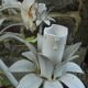 chandelier, painted sheet metal suspension, floral décor, vintage 80s