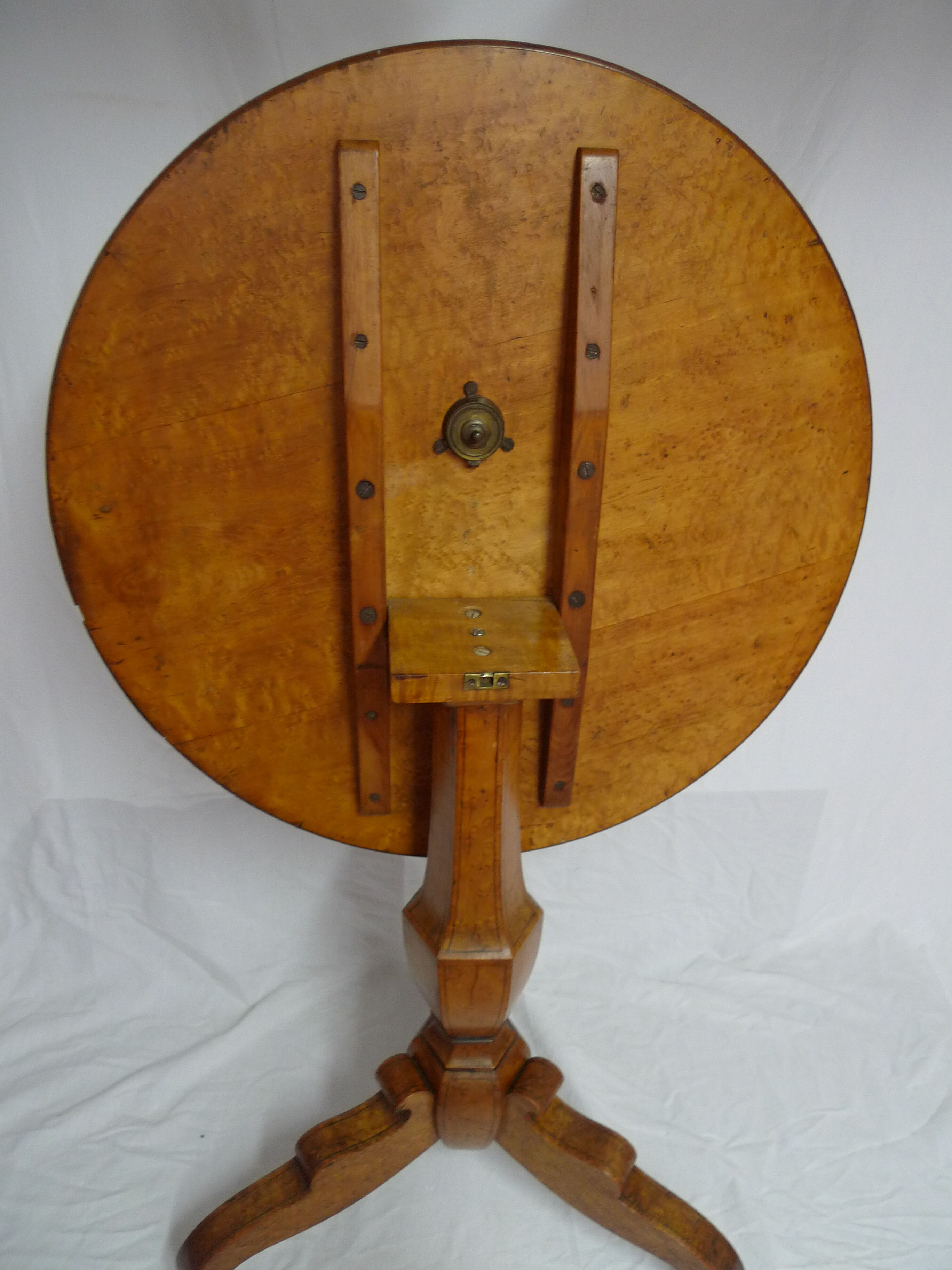 Tipping gerdone lemon tree magnifying glass