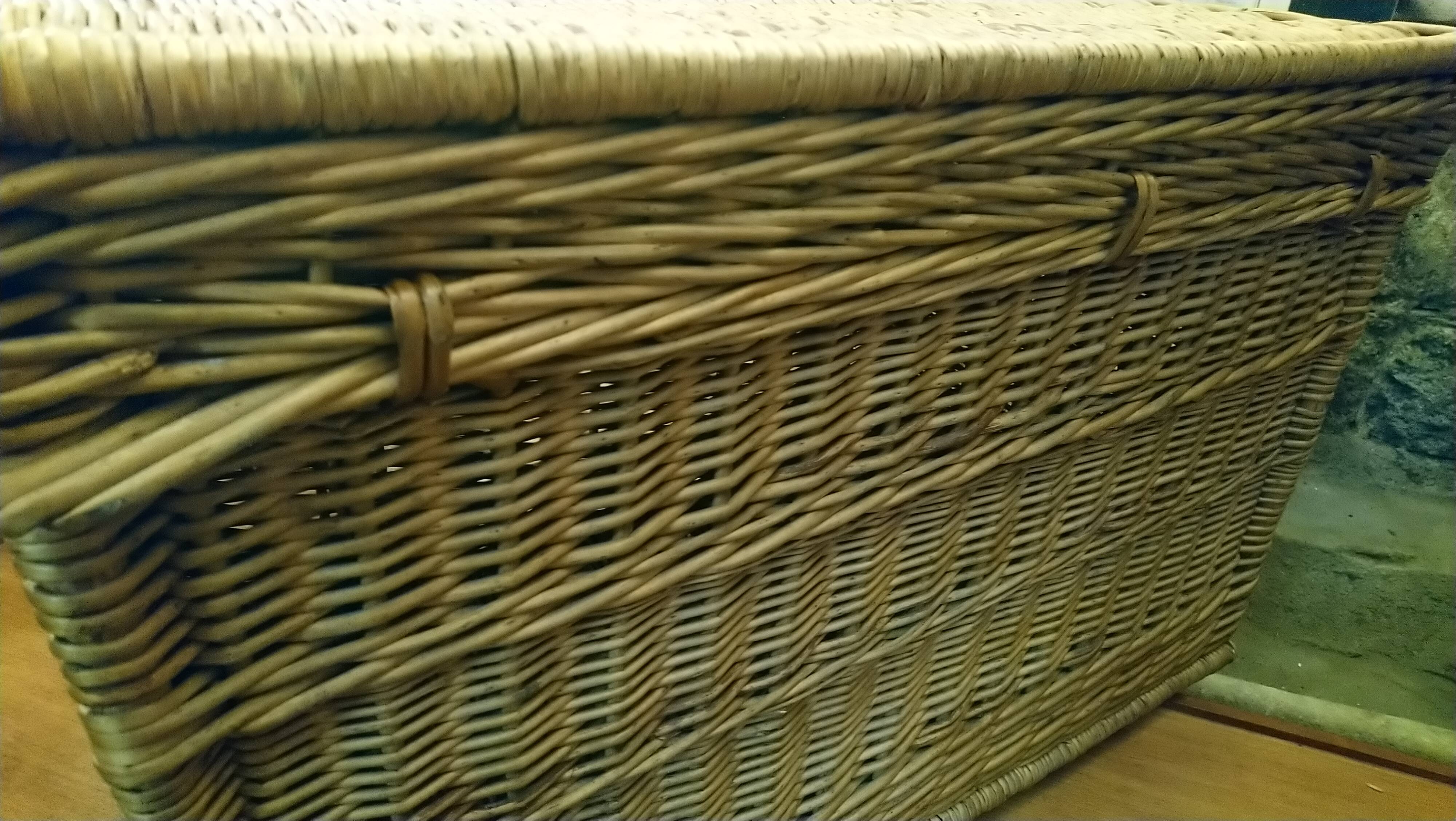 Rattan travel trunk