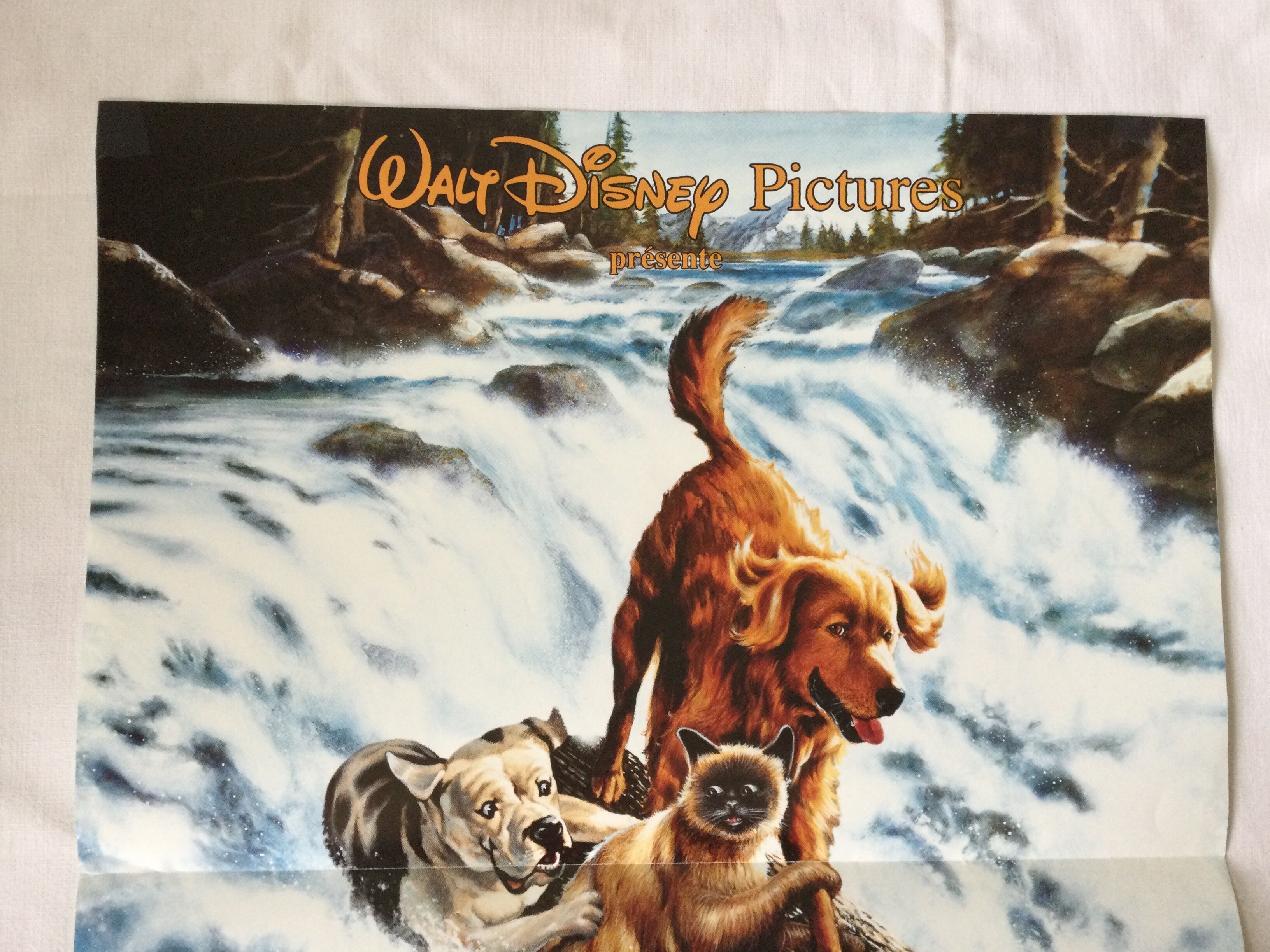 Poster of the film "The Incredible Journey"