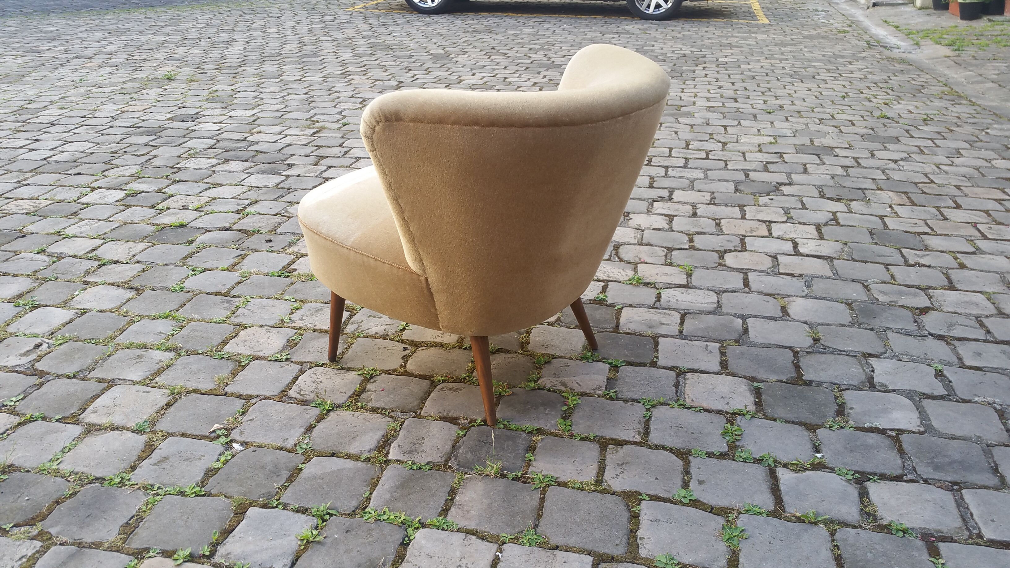 Chair Chair 50s Toad