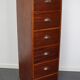Dutch Industrial Mahogany Apothecary Cabinet, Mid-20th Century