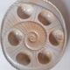 8 snail plates sandstone from the marsh France
