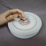 Lot of 6 vintage limoges porcelain dessert plates 1950