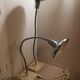 Pair of articulated lamps