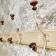 Antique wall coat rack 120 cm French