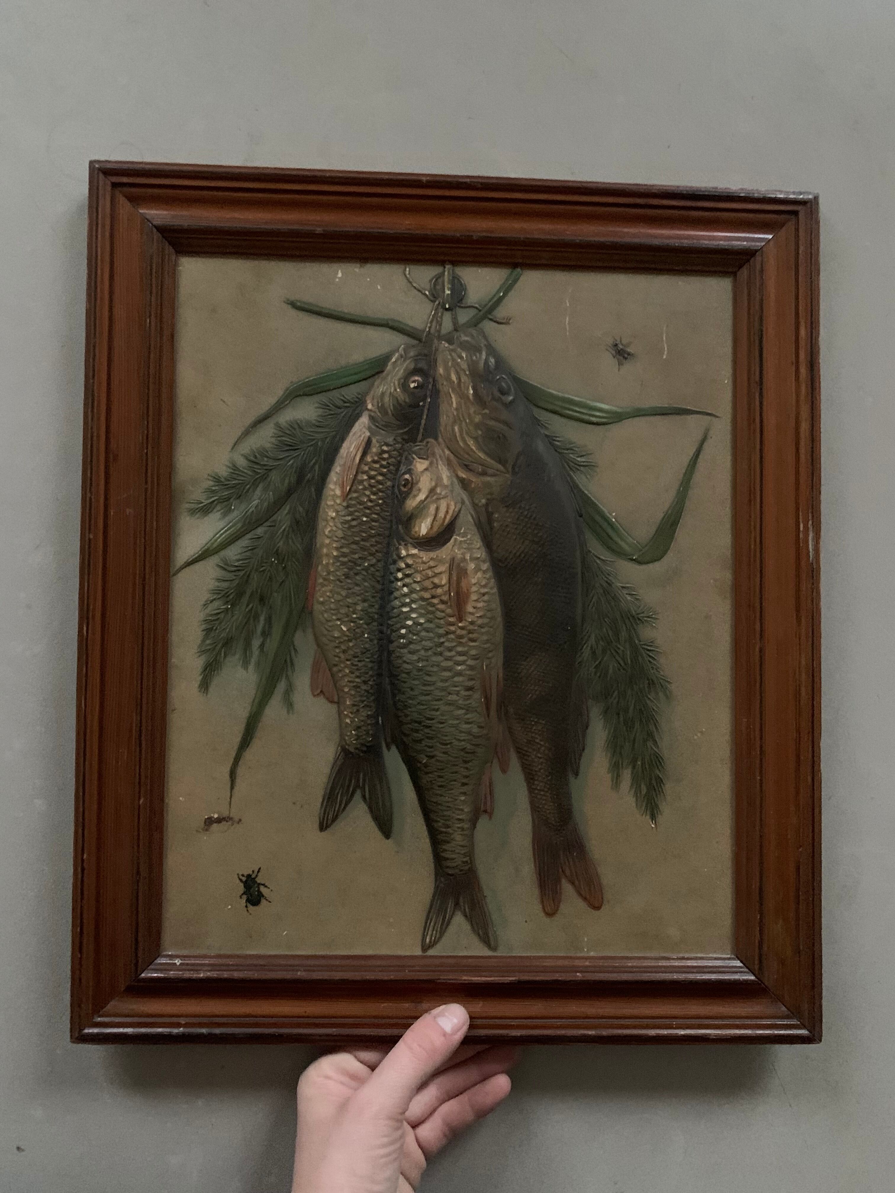 Still life, old fish trophy table