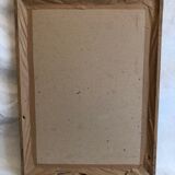 Framed Rosa "Rosa muscosa multiplex"