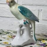 Exotic birds