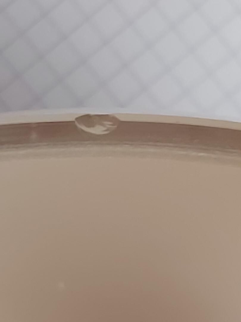 Artemide sconce Tibs Gismondi