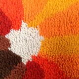 Ensemble de 2 Tapis Desso vintage, années 1970 multicolores