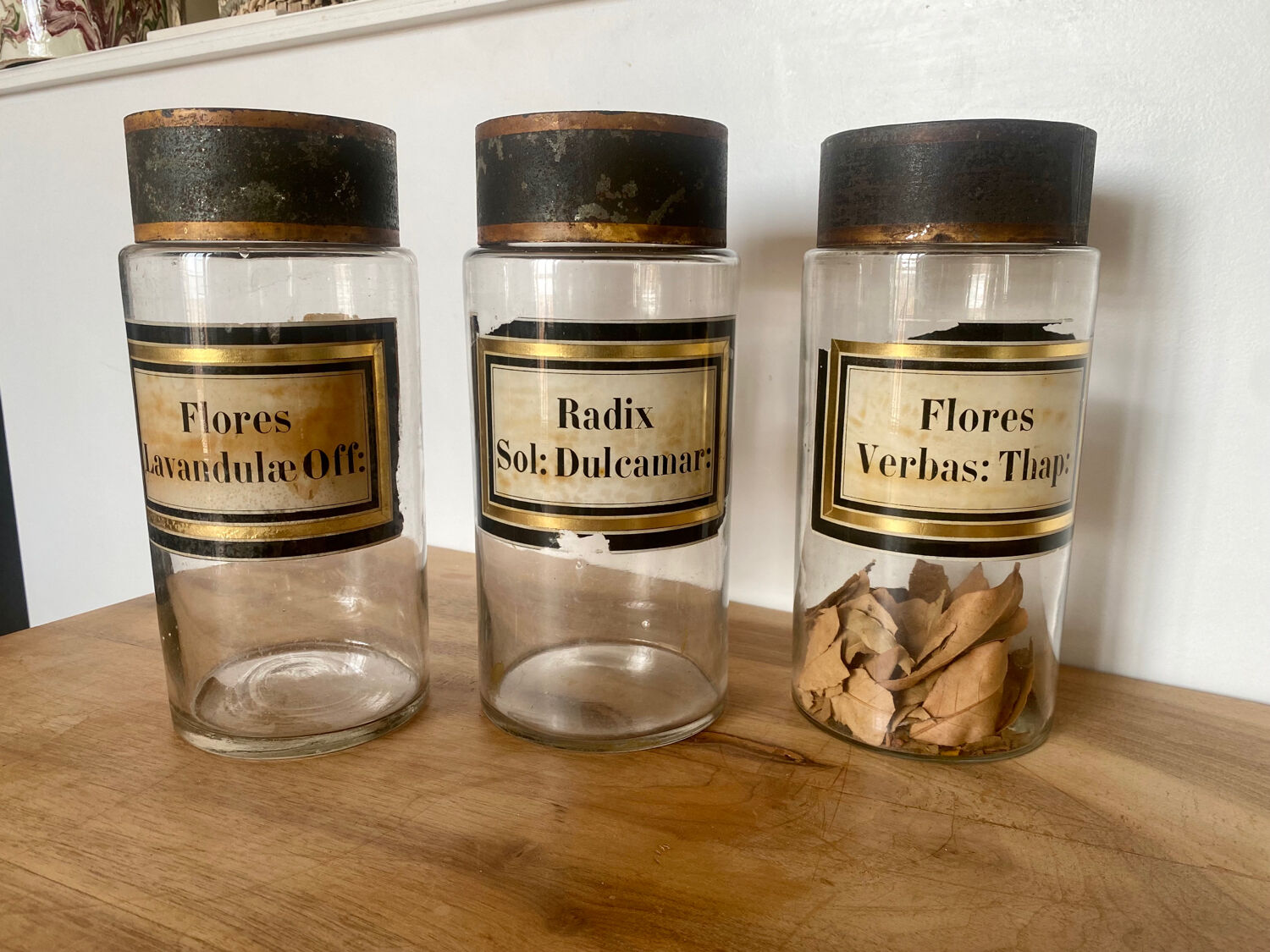 ANCIEN BOCAL POT à sangsues Apothicaire pharmacie verre soufflé 19 ou