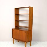 Scandinavian bookcase with cabinet