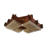 Ceiling light 50