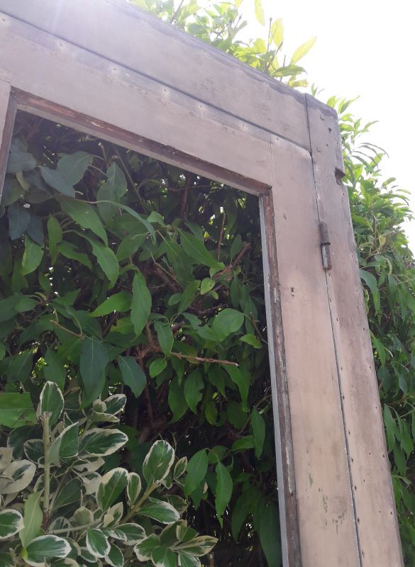 Entrance door 105x211cm + frame