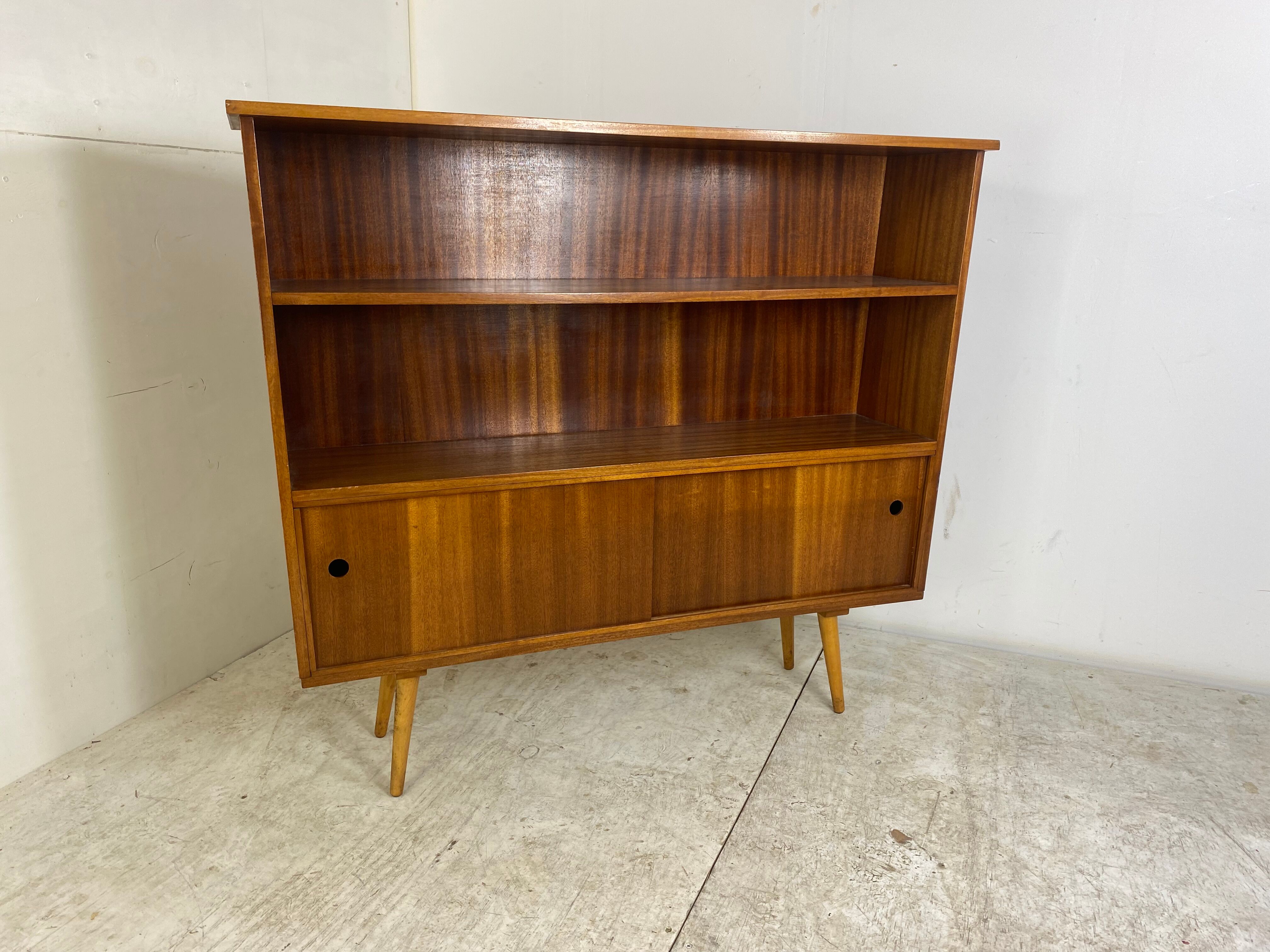 Vintage Mid-Century Teak Book Cabinet, 1950s