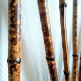 Art nouveau coat rack in tiger-print bamboo