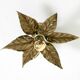 Beautiful brass ceiling or wall lamp from the 1970s by Willy Daro