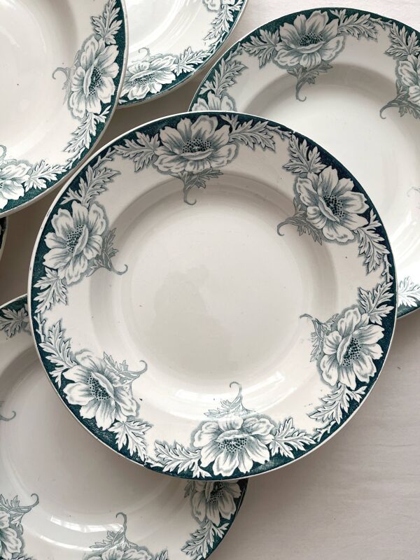 6 assiettes creuses en terre de fer Suzanne, Saint Amand et Hamage