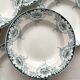 6 Suzanne, Saint Amand and Hamage ironstone soup plates