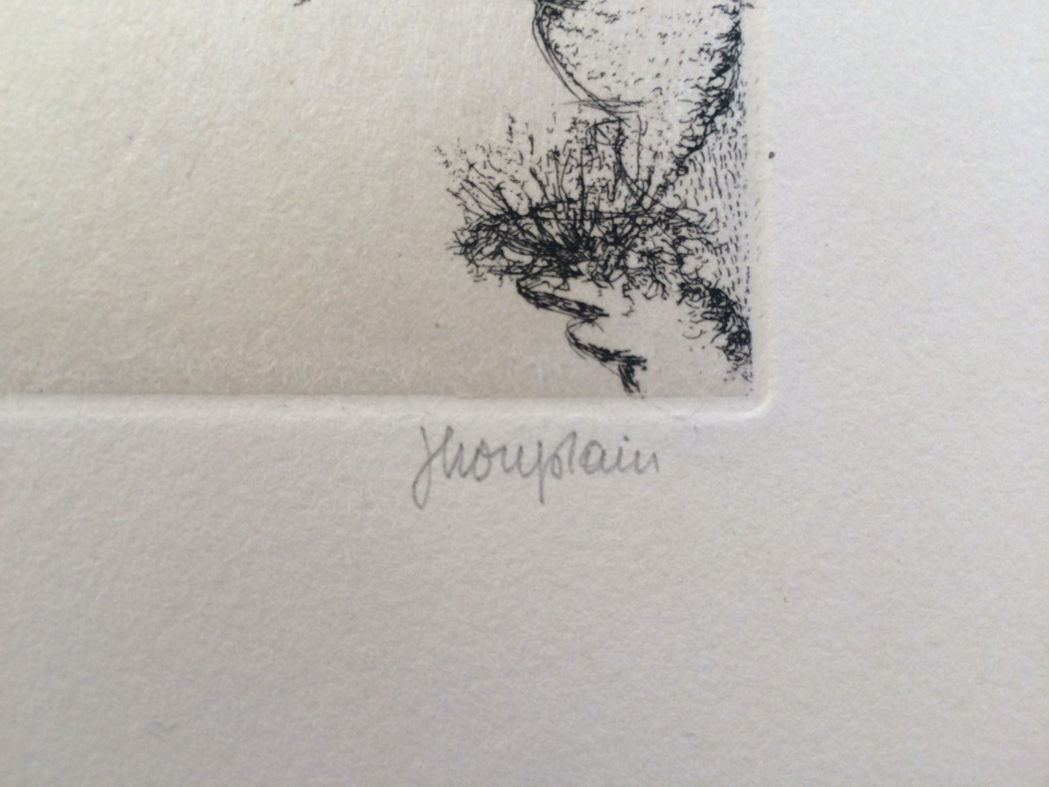 Jacques Houplain, Canyon landscape, signed and numbered engraving