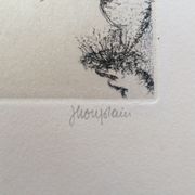Jacques Houplain, Canyon landscape, signed and numbered engraving