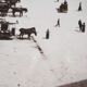 Photograph on wood panel - Florence Italy