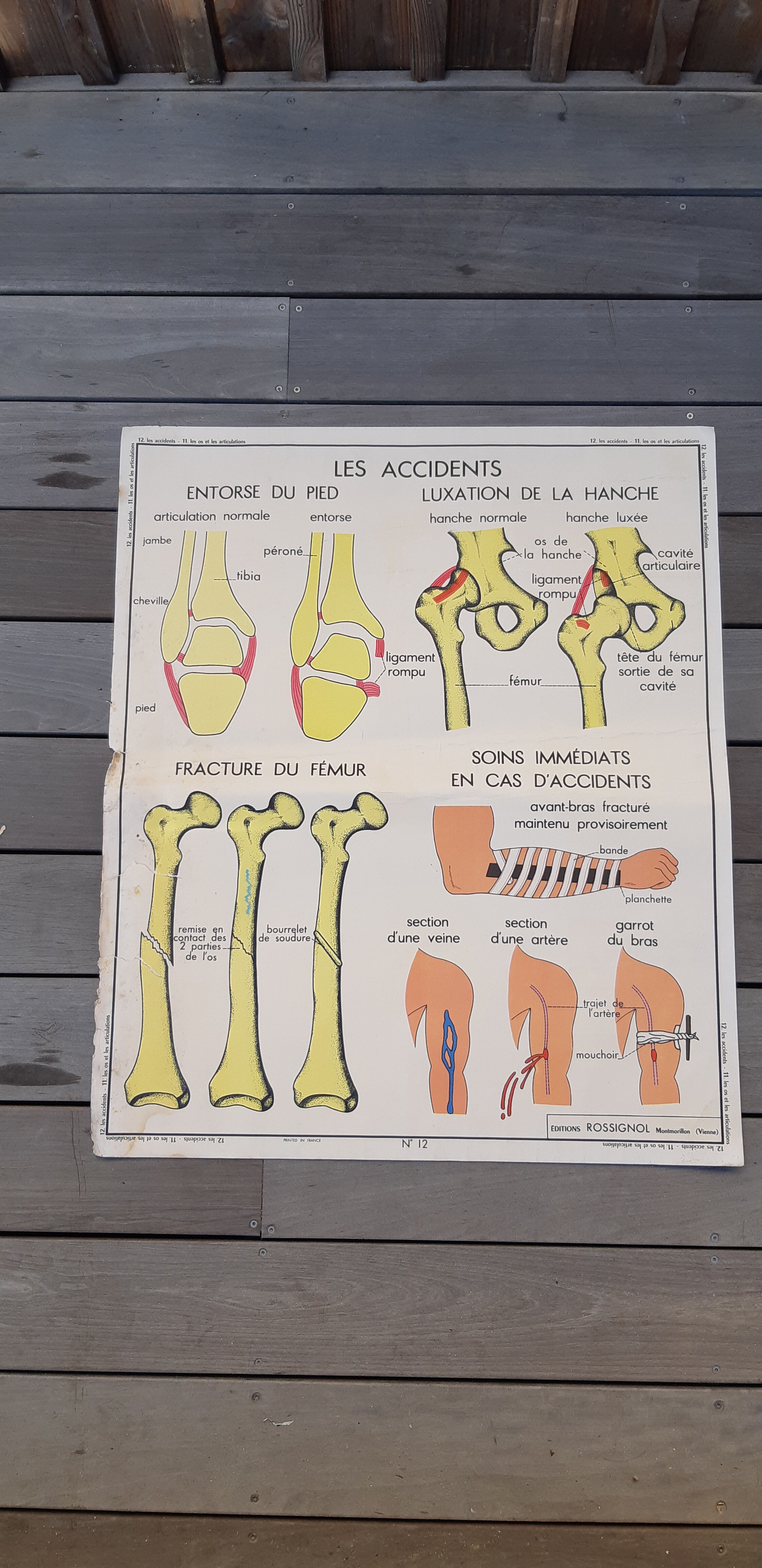 Rossignol educational posters