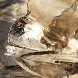 Italian Murano Glass Wall Lamps by Carlo Nason for Mazzega, 1970s, Set of 2