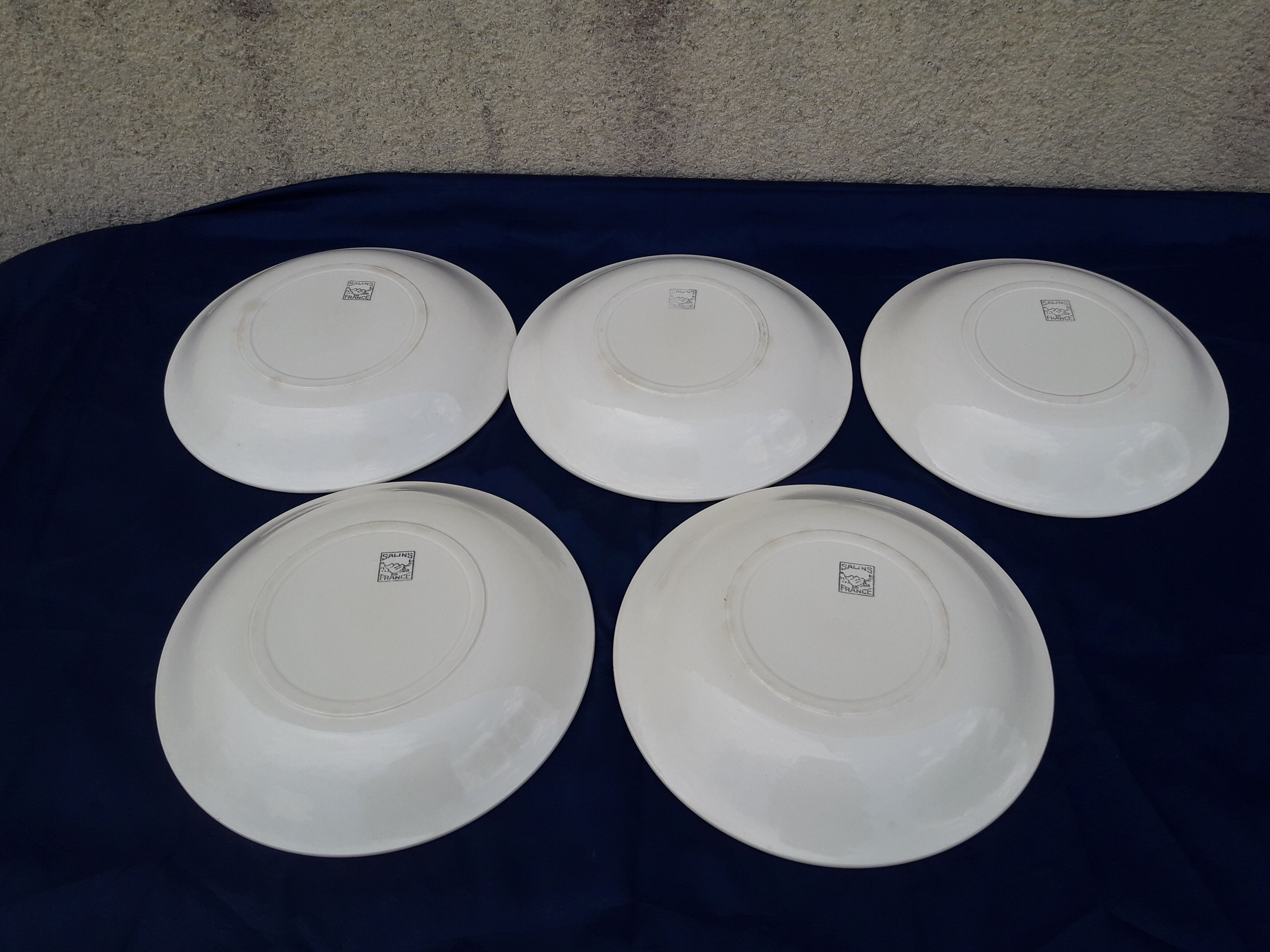 5 hollow plates in salins earthenware floral decoration diam 22 cm