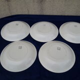 5 hollow plates in salins earthenware floral decoration diam 22 cm