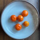 Ceramic plate by Jeanne and Norbert Pierlot