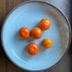Ceramic plate by Jeanne and Norbert Pierlot