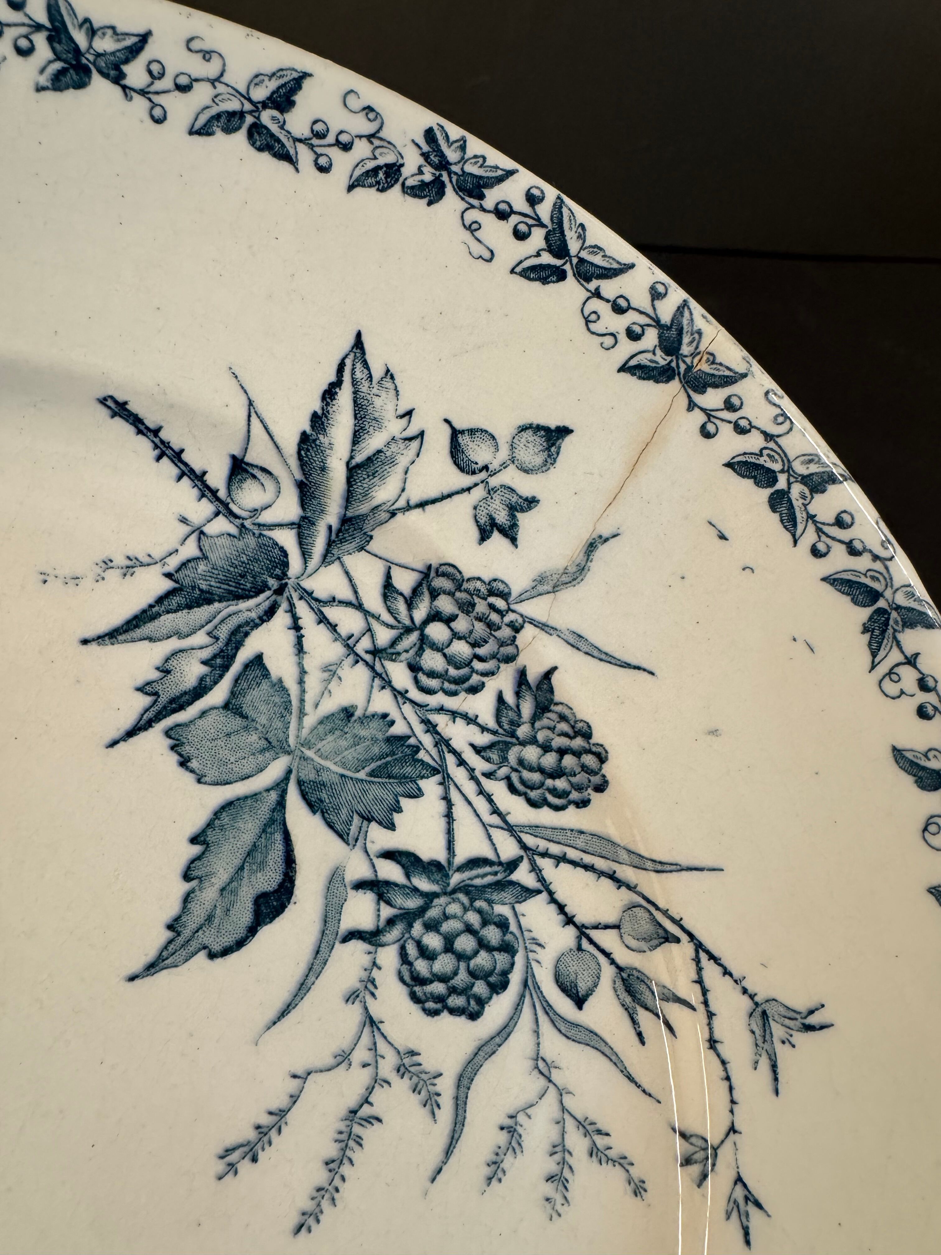 7 deep plates in ironstone "Mûre" Badonviller
